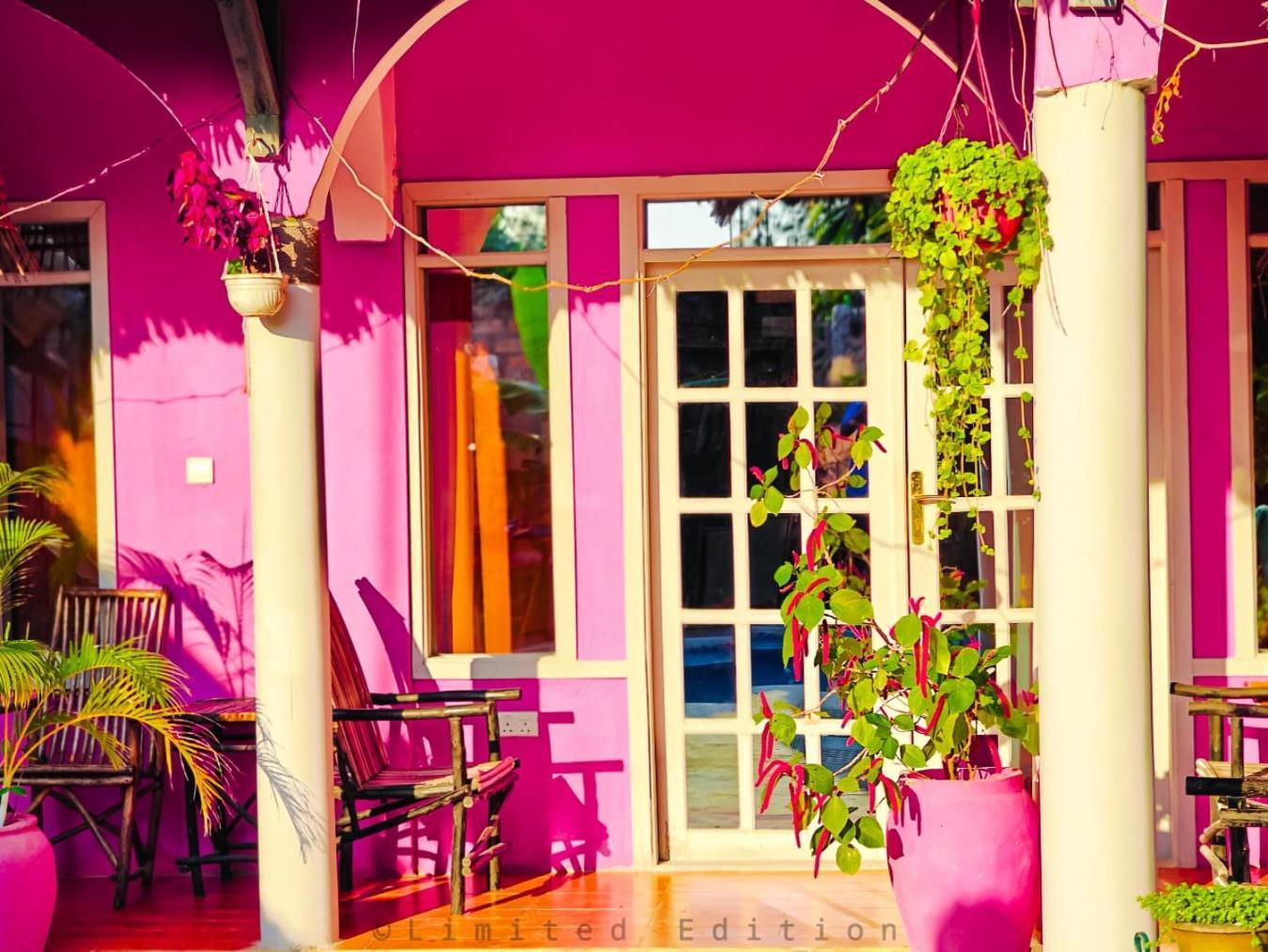 Nungwi Roses Villa Bagian luar foto