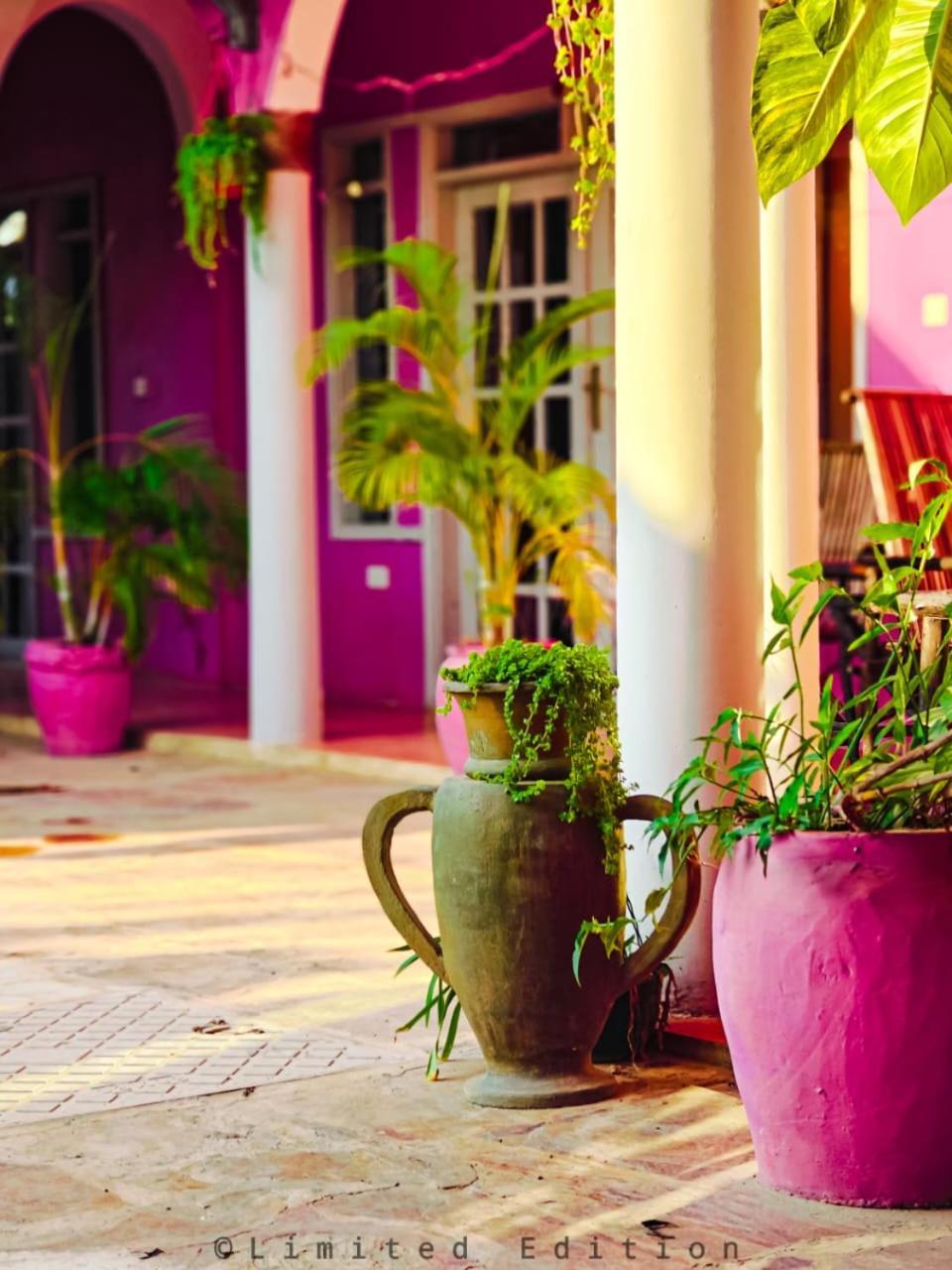 Nungwi Roses Villa Bagian luar foto